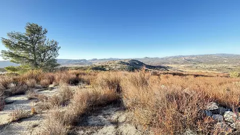 0 Forrest Gate Rd #0, Campo, CA 91906 photo 3