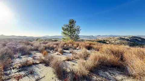 0 Forrest Gate Rd #0, Campo, CA 91906