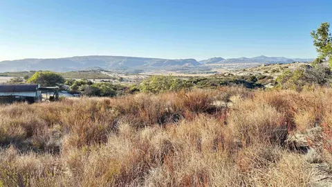 0 Forrest Gate Rd #0, Campo, CA 91906 photo 4