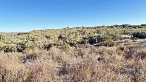 0 Forrest Gate Rd #0, Campo, CA 91906 photo 7