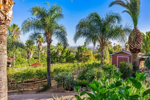 Exterior - 2302 Casitas Del Sol, Fallbrook, CA 92028 photo 4 of 5