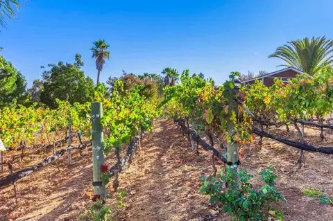 Other - 2302 Casitas Del Sol, Fallbrook, CA 92028 photo 8 of 10