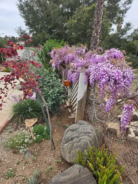 Exterior - 2331 Royal Crest Dr, Escondido, CA 92025 photo 17 of 17