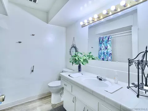 Bath - 10111 Norte Mesa Dr, Spring Valley, CA 91977 photo 1 of 2