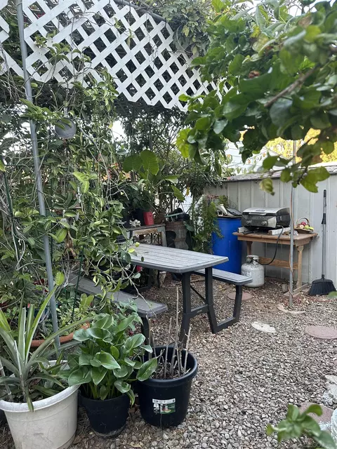 351 E Bradley #45, El Cajon, CA 92021 photo 40