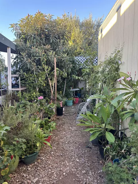 351 E Bradley #45, El Cajon, CA 92021 photo 41