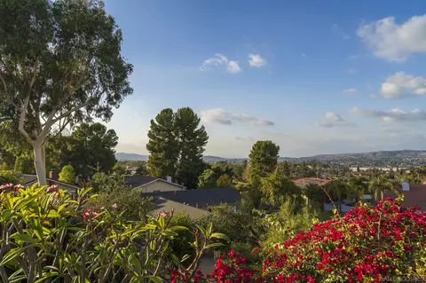20503 Shepherd Hills Dr, Walnut, CA 91789 photo 38