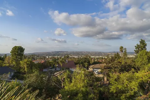 20503 Shepherd Hills Dr, Walnut, CA 91789 photo 29