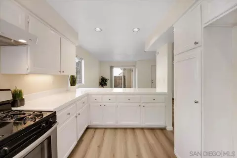 9704 Avenida Ricardo, Spring Valley, CA 91977 photo 12