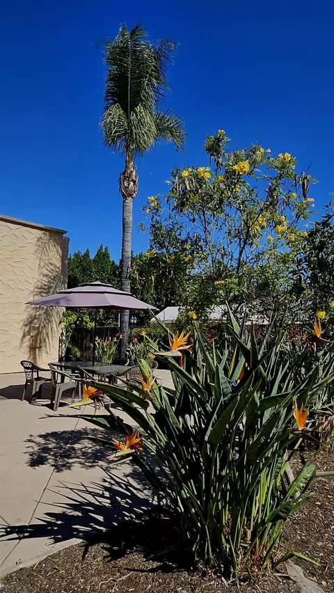 Exterior - 1386 E Madison Ave #31, El Cajon, CA 92021 photo 6 of 6