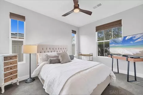 896 Channel Island Dr, Encinitas, CA 92024 photo 38