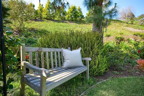 1229 Swallowtail Ct, Encinitas, CA 92024 photo 19