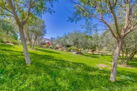 Exterior - 15815 Indian Valley Rd, Jamul, CA 91935 photo 3 of 20