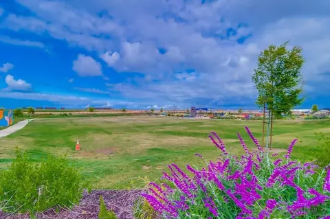 Other - 2408 Cascalote Loop, San Diego, CA 92154 photo 15 of 16