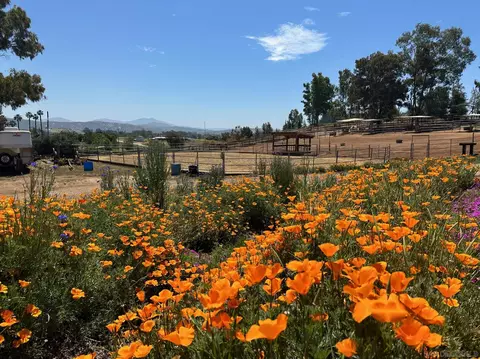 Other - 20119 Para Siempre Vis, Ramona, CA 92065 photo 11 of 17