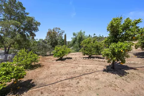 Exterior - 24318 Watt Rd, Ramona, CA 92065 photo 17 of 22
