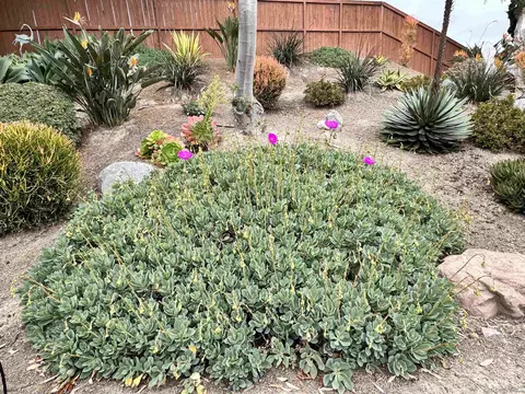 5119 Berryessa St, Oceanside, CA 92056 photo 28