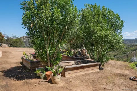Exterior - 424 Sky Mesa Rd, Alpine, CA 91901 photo 21 of 22