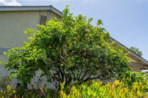 Exterior - 3575 Guava Way, Oceanside, CA 92058 photo 12 of 13