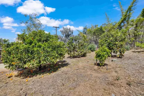 Exterior - 12048 Coping Pl, Lakeside, CA 92040 photo 10 of 10