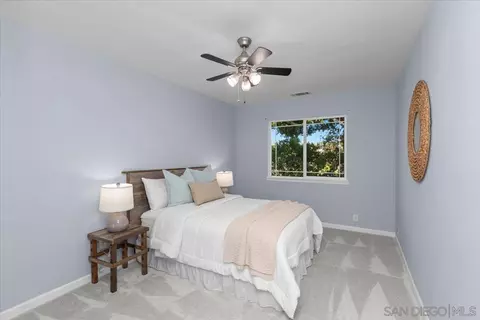 4317 Avenida Gregory, Spring Valley, CA 91977 photo 19