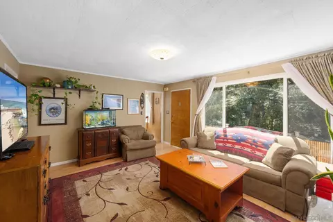 Living - 1332 Canyon Dr, Julian, CA 92036 photo 3 of 4