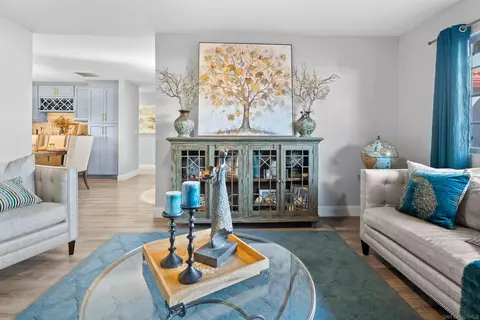 10009 Anoel Ct, Spring Valley, CA 91977 photo 11