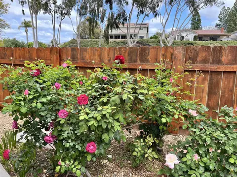 13145 Decant Dr, Poway, CA 92064 photo 36