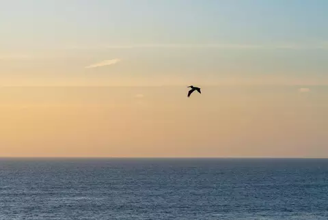 View/Area - 939 Coast Blvd #4A, La Jolla, CA 92037 photo 12 of 14