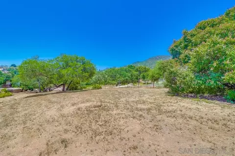 20541 Cinnamon Dr, Jamul, CA 91935 photo 37
