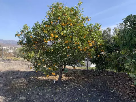2223 Casa Cielo, Spring Valley, CA 91977 photo 44