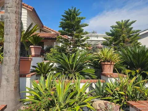 Exterior - 2084 Wind River Rd, El Cajon, CA 92019 photo 2 of 10