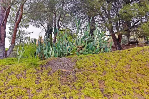 1717 Penasco Rd, El Cajon, CA 92019 photo 26