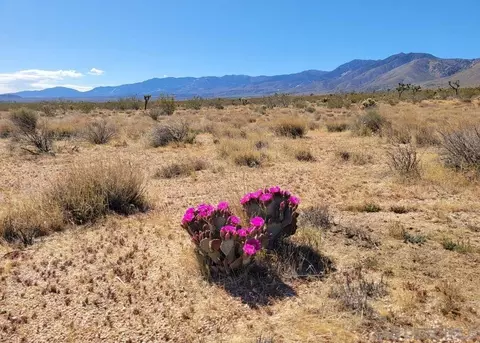 0 Joshua Rd #1, Apple Valley, CA 92308
