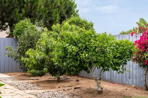 Exterior - 1004 California St, Oceanside, CA 92054 photo 5 of 5