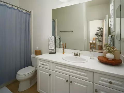 7443 Circulo Sequoia, Carlsbad, CA 92009 photo 37