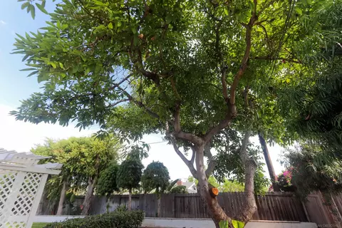 Exterior - 1112 E Del Mar Ave, Orange, CA 92865 photo 4 of 9