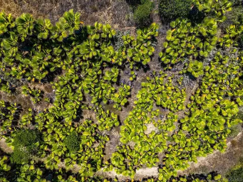 0 Ranger Rd #0, Fallbrook, CA 92028 photo 36