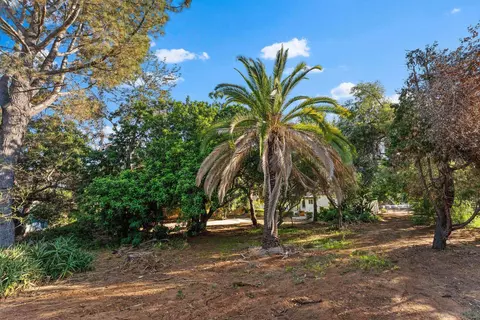 Exterior - 4621 Panchoy Dr, La Mesa, CA 91941 photo 9 of 9