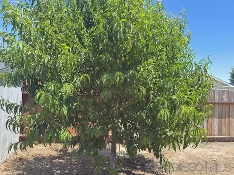 Other - 328 Via Ramona, Paso Robles, CA 93446 photo 7 of 8