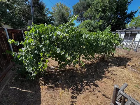 Exterior - 1648 S Maple St, Escondido, CA 92025 photo 5 of 8