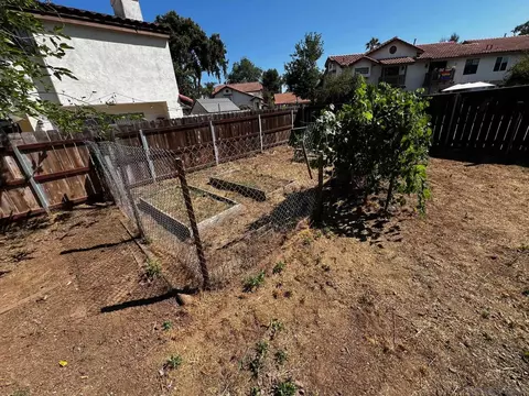 Exterior - 1648 S Maple St, Escondido, CA 92025 photo 8 of 8