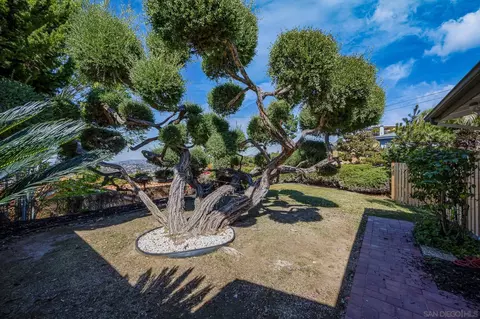7987 Wetherly St, La Mesa, CA 91941 photo 45