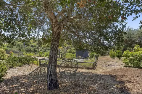 Exterior - 3860 Las Flores, Fallbrook, CA 92028 photo 14 of 18