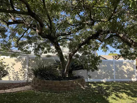 Exterior - 1445 Murray Ave, El Cajon, CA 92020 photo 8 of 9