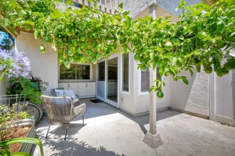 135 Countrywood Ln, Encinitas, CA 92024 photo 38