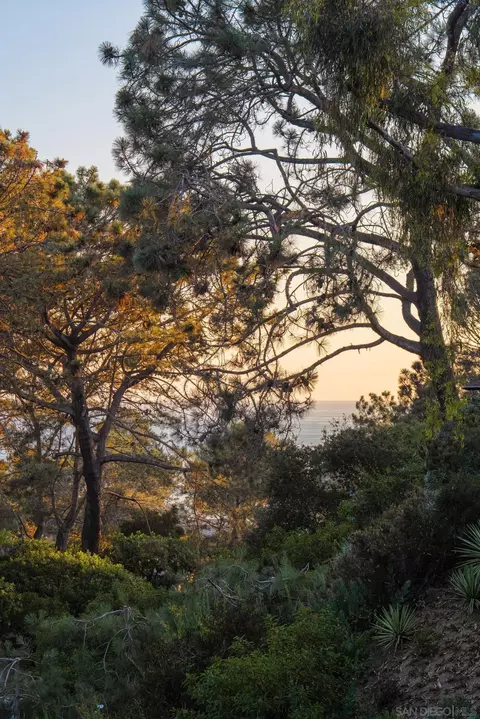 View/Area - 404 Pine Needles, Del Mar, CA 92014 photo 3 of 3