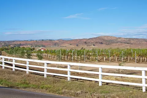 Exterior - 539 Steffy Rd, Ramona, CA 92065 photo 17 of 17