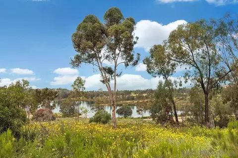 5706 Baltimore Rd #333, La Mesa, CA 91942 photo 37