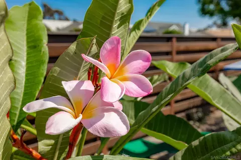 Other - 127 Warner St, Oceanside, CA 92058 photo 10 of 10
